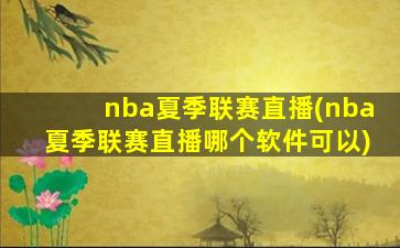 nba夏季联赛直播(nba夏季联赛直播哪个软件可以)