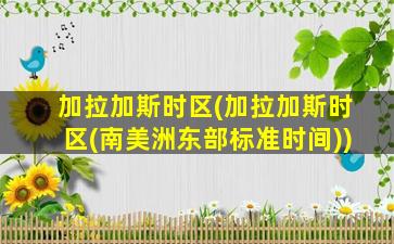 加拉加斯时区(加拉加斯时区(南美洲东部标准时间))