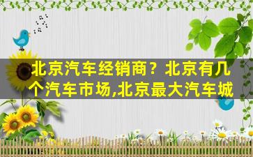 北京汽车经销商？北京有几个汽车市场,北京最大汽车城
