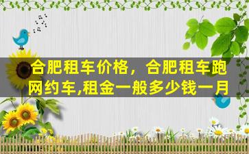 合肥租车价格，合肥租车跑网约车,租金一般*一月