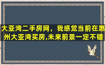 大亚湾二手房网，我感觉当前在惠州大亚湾买房,未来前景一定不错,大家觉得呢