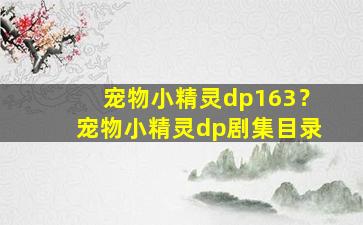 宠物小精灵dp163？宠物小精灵dp剧集目录
