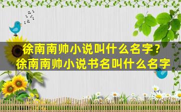 徐南南帅小说叫什么名字？徐南南帅小说书名叫什么名字
