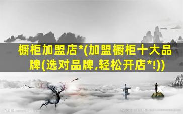 橱柜加盟店*(加盟橱柜十大品牌(选对品牌,轻松开店*!))