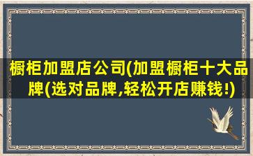 橱柜加盟店*(加盟橱柜十大品牌(选对品牌,轻松开店*!))