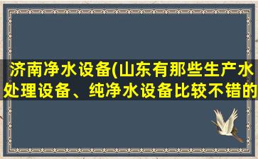 济南净水设备(山东有那些生产水处理设备、纯净水设备比较不错的厂家)