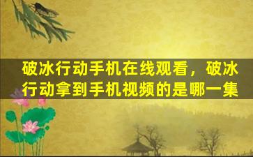 破冰行动手机在线观看，破冰行动拿到手机视频的是哪一集