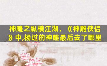 神雕之纵横江湖，《神雕侠侣》中,杨过的神雕最后去了哪里
