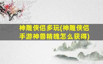 神雕侠侣多玩(神雕侠侣手游神兽精魄怎么获得)