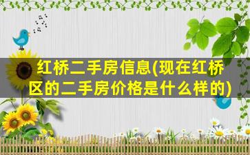 红桥二手房信息(现在红桥区的二手房价格是什么样的)