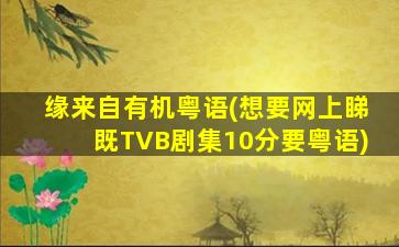 缘来自有机粤语(想要网上睇既TVB剧集10分要粤语)
