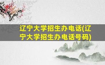 辽宁大学招生办电话(辽宁大学招生办电话号码)